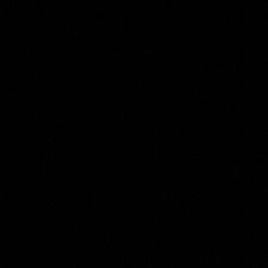 Meet your Posher, Jada